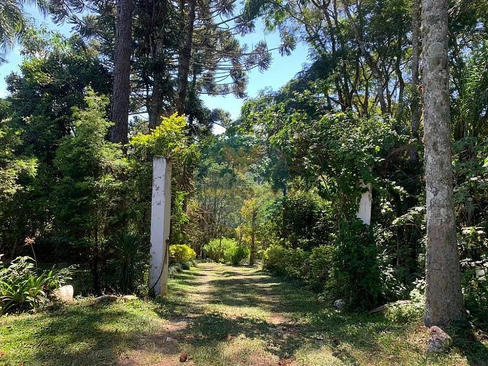 Sítio, 3 quartos, 3 hectares - Foto 6