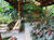 Casa de Condomínio, 4 quartos - Foto 33