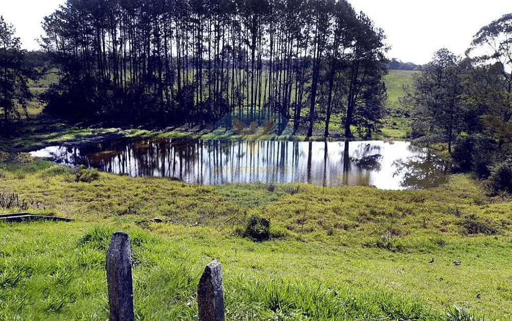 Terreno, 200 m² - Foto 6