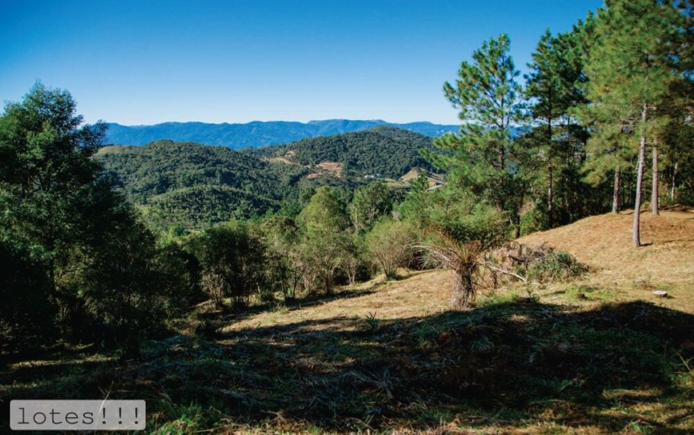 Terreno à venda, 1004m² - Foto 2