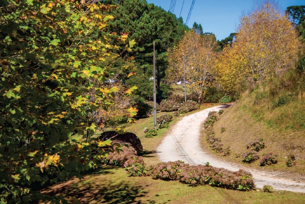 Terreno à venda, 1004m² - Foto 10
