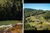 Terreno, 1004 m² - Foto 8