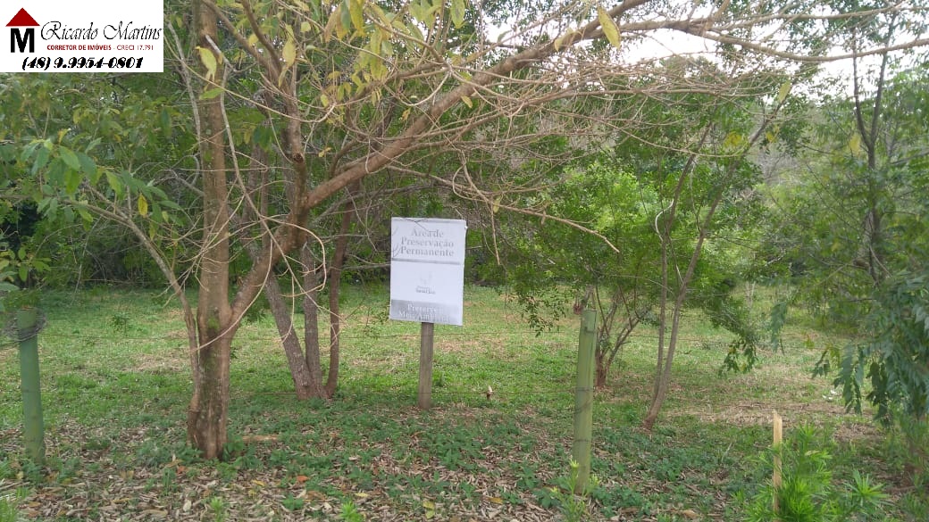 Loteamento e Condomínio à venda com 3 quartos, 120m² - Foto 12