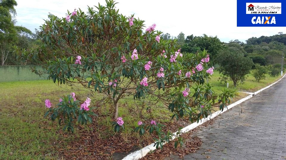 Loteamento e Condomínio à venda com 3 quartos, 120m² - Foto 6