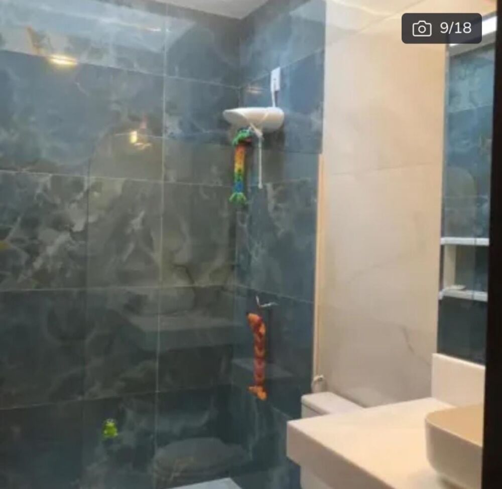 Casa, 4 quartos - Foto 8