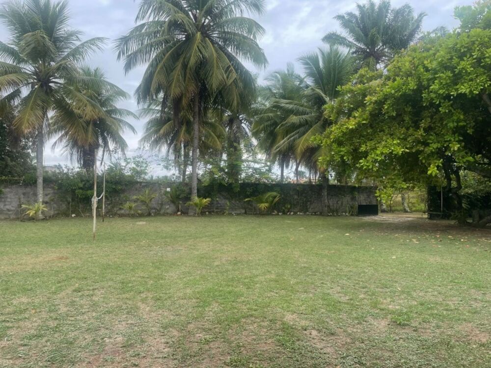 Terreno à venda, 40000m² - Foto 4