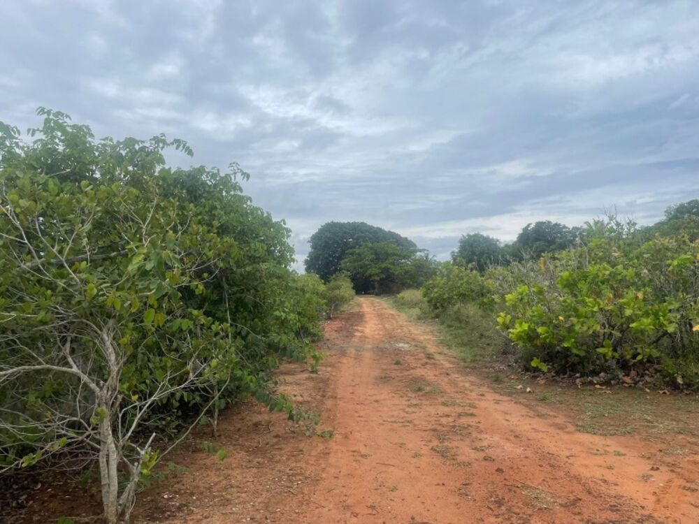 Terreno à venda, 40000m² - Foto 3