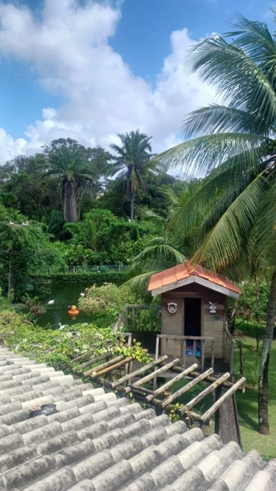 Casa, 6 quartos - Foto 4