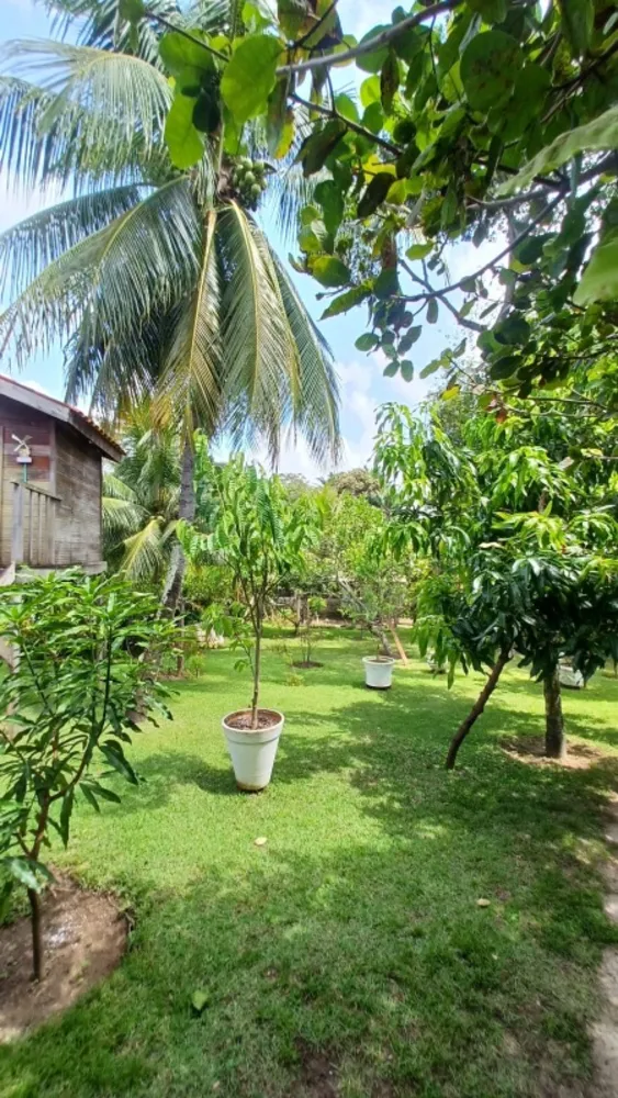 Casa, 6 quartos - Foto 7