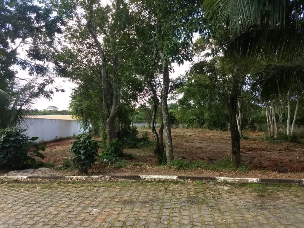 Loteamento e Condomínio - Foto 5