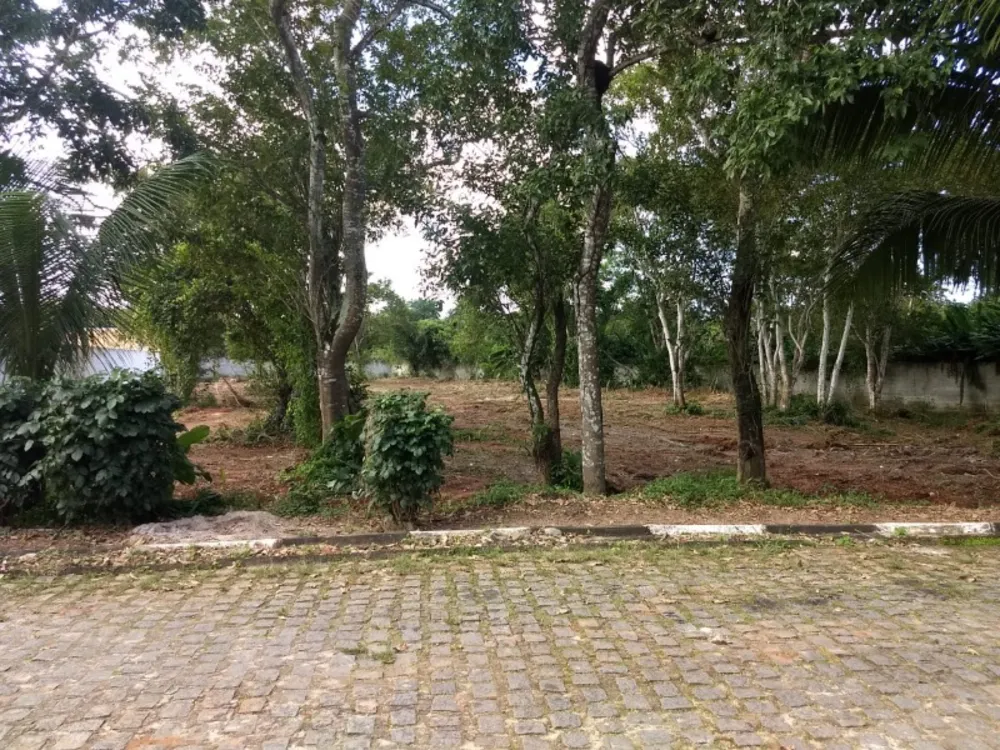 Loteamento e Condomínio - Foto 6