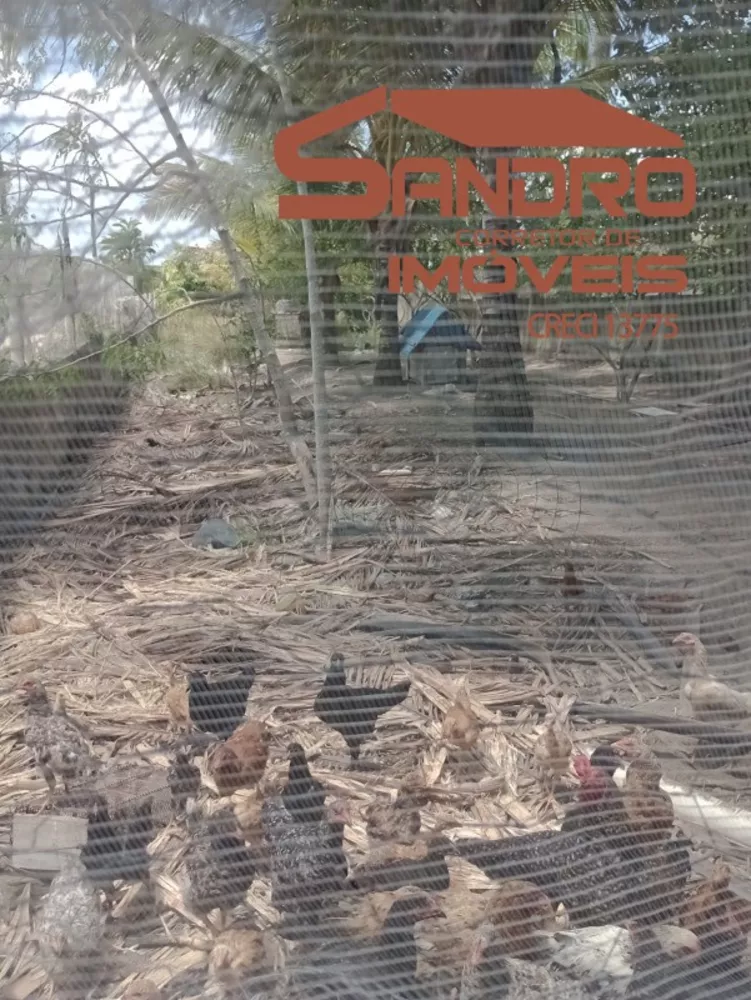 Terreno, 4 hectares - Foto 8