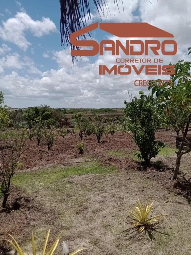 Terreno, 4 hectares - Foto 3