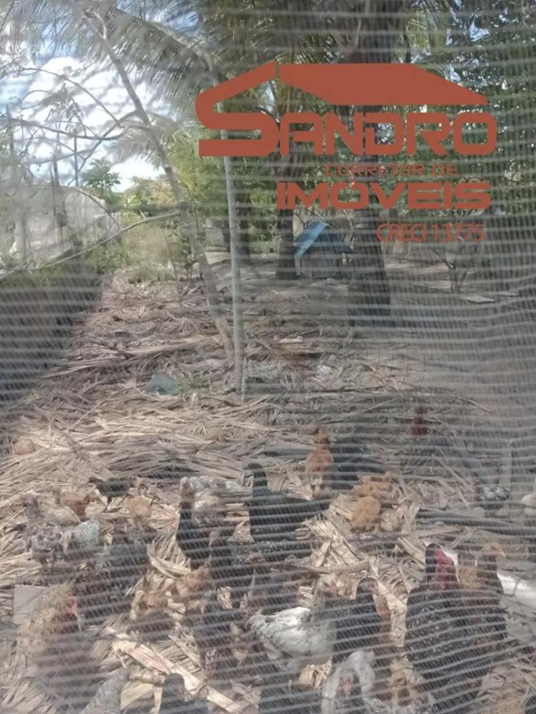 Terreno, 4 hectares - Foto 5