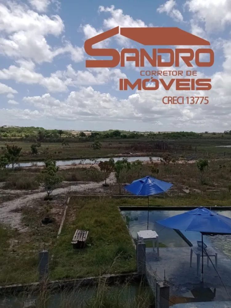 Terreno, 4 hectares - Foto 1