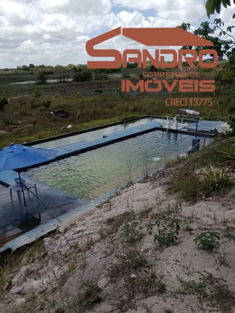 Terreno, 4 hectares - Foto 4