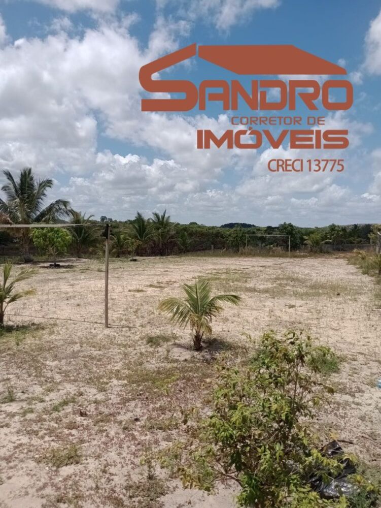 Terreno, 4 hectares - Foto 6