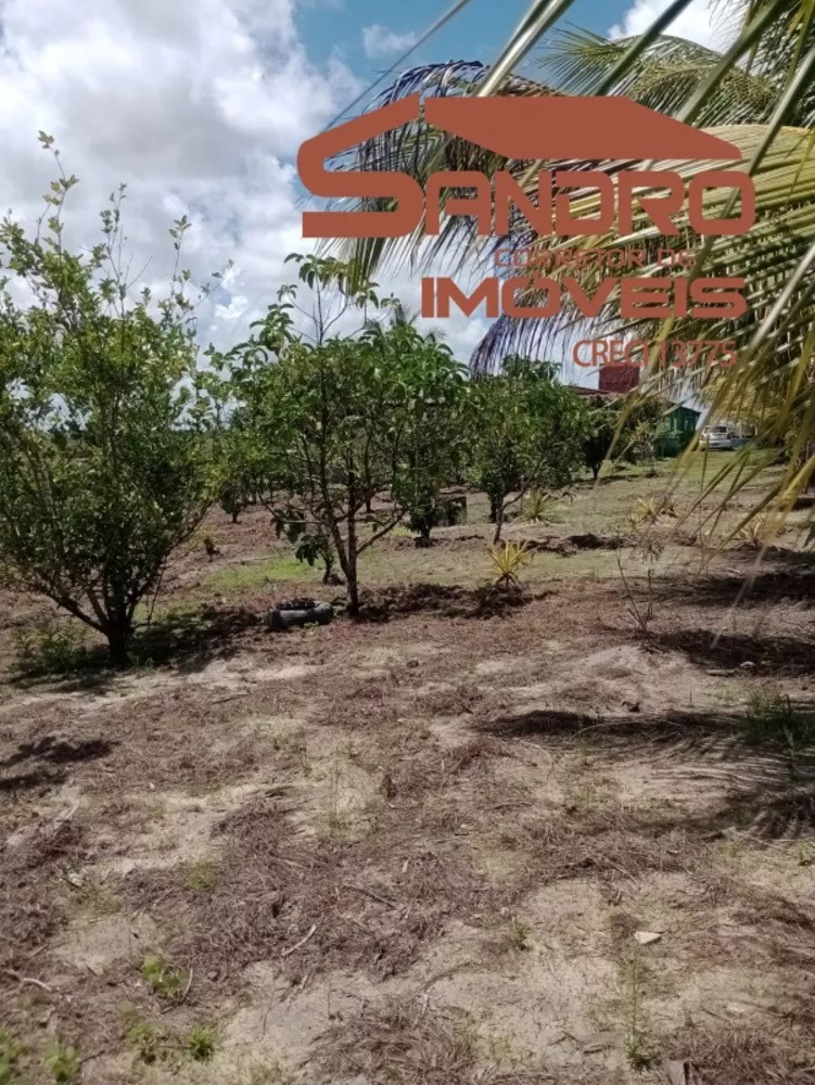 Terreno, 4 hectares - Foto 2