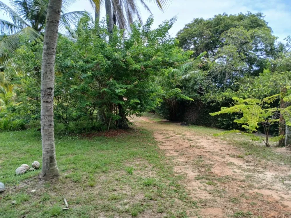 Terreno, 4 hectares - Foto 8