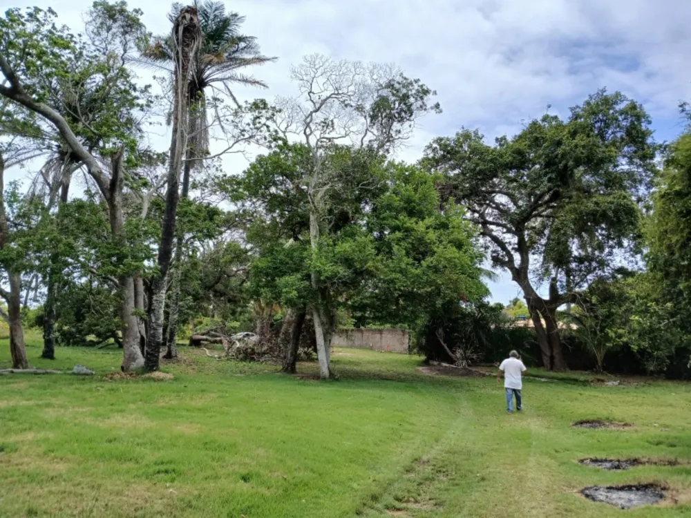 Terreno, 4 hectares - Foto 6