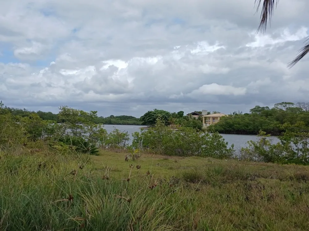 Terreno, 4 hectares - Foto 3