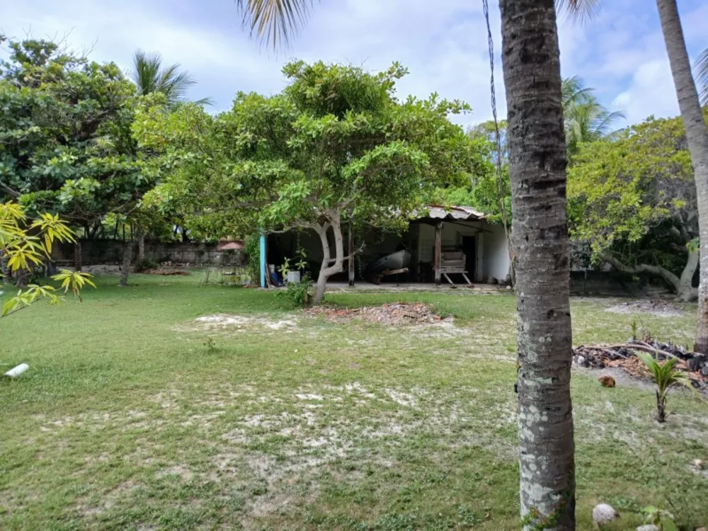 Terreno, 4 hectares - Foto 7