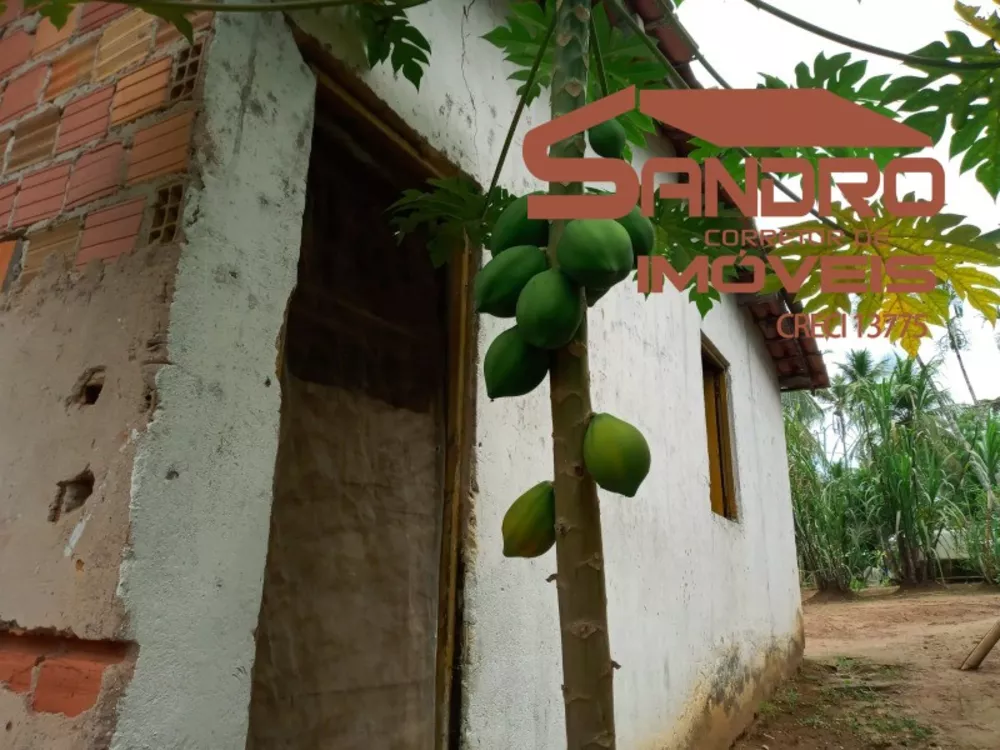 Sítio, 1 quarto, 5000 m² - Foto 4