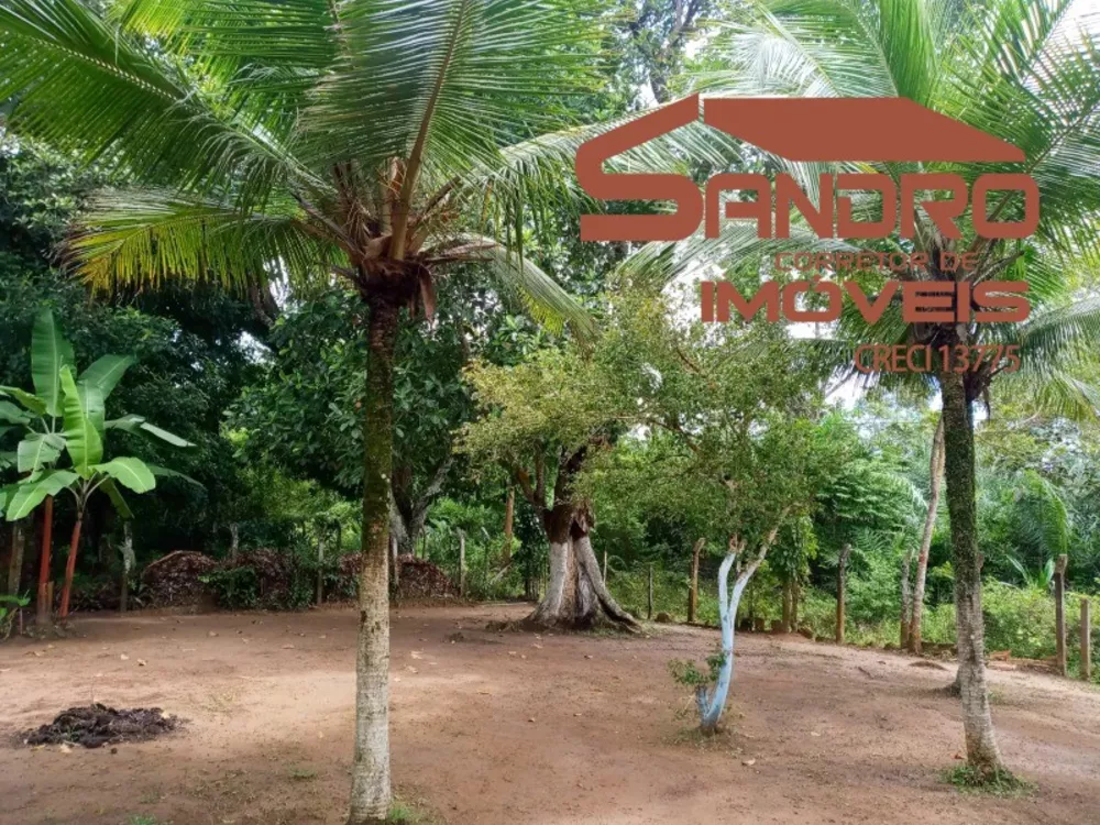 Sítio, 1 quarto, 5000 m² - Foto 1