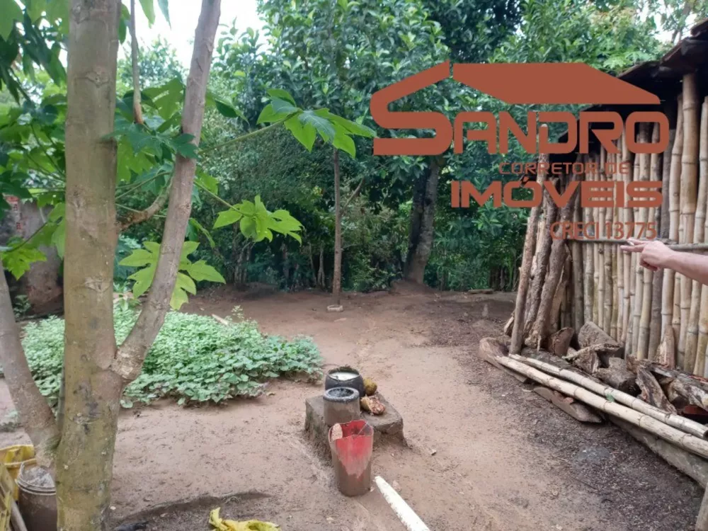 Sítio, 1 quarto, 5000 m² - Foto 3