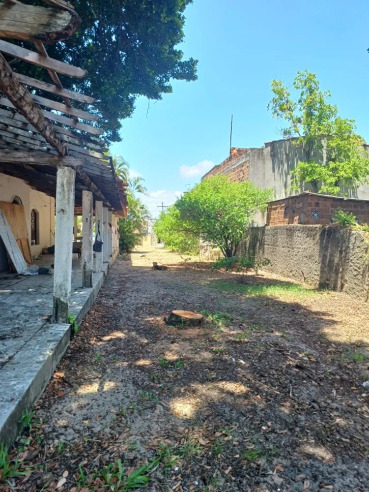 Terreno, 3819 m² - Foto 16