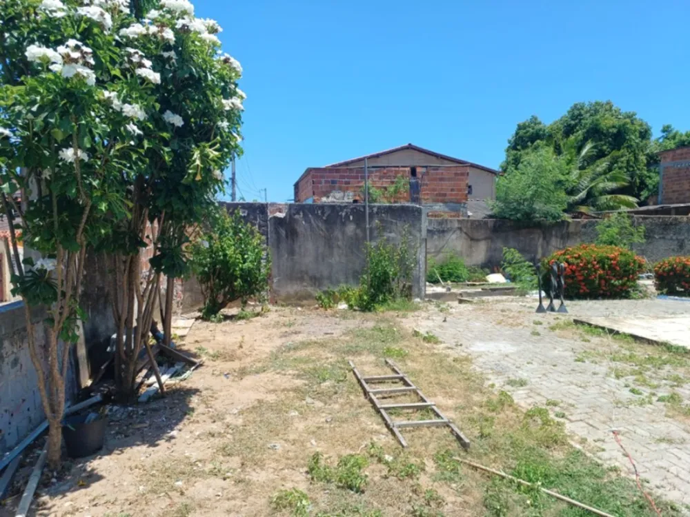 Terreno, 3819 m² - Foto 15