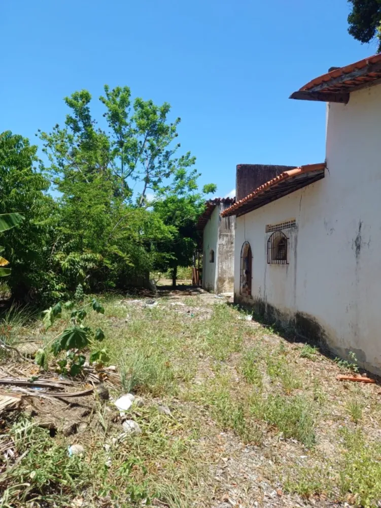 Terreno, 3819 m² - Foto 8
