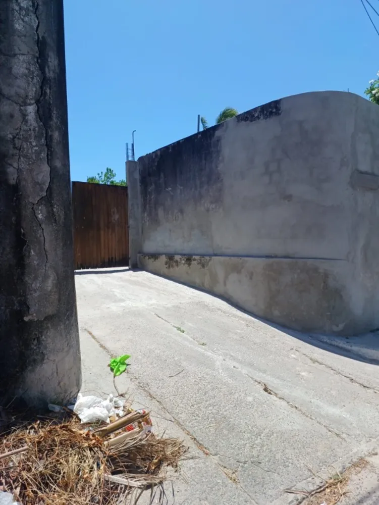 Terreno, 3819 m² - Foto 5
