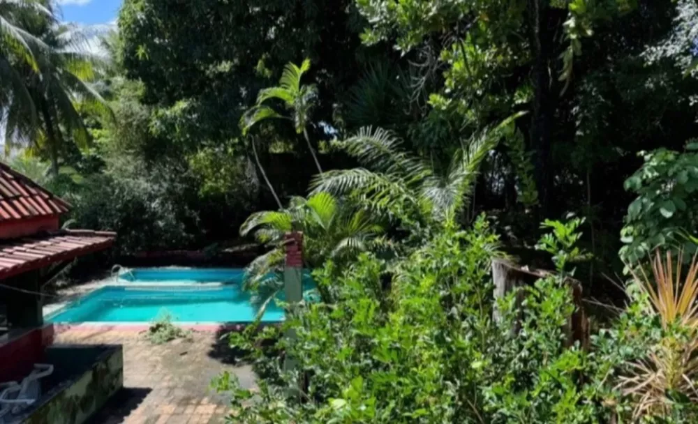 Casa, 4 quartos - Foto 1