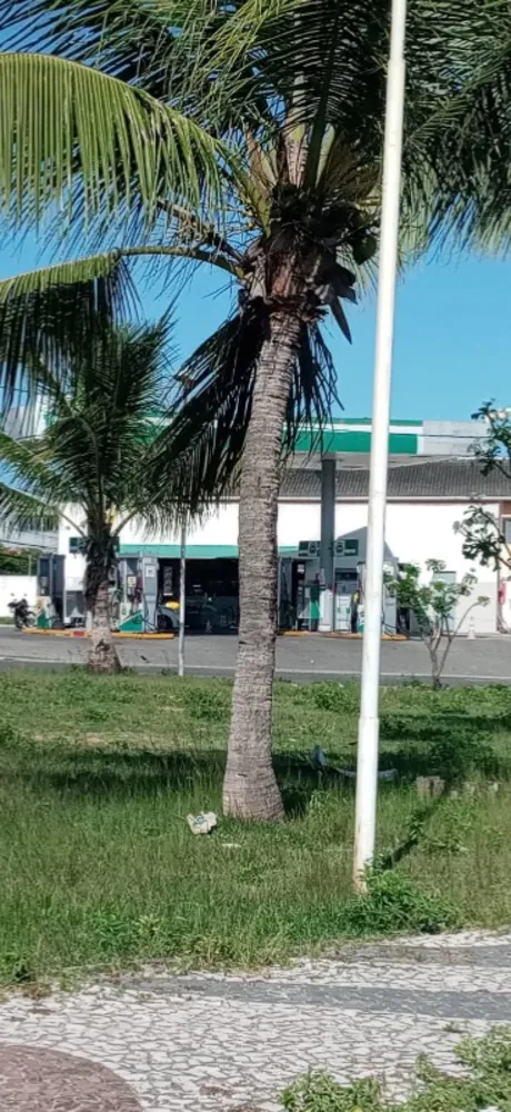 Loteamento e Condomínio, 5800 m² - Foto 2