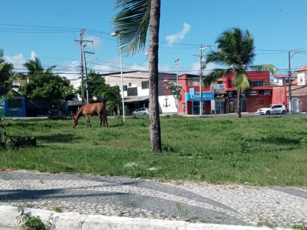 Loteamento e Condomínio, 5800 m² - Foto 8