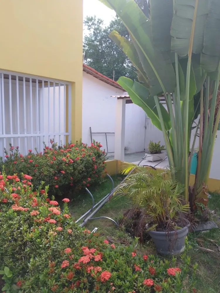 Sala-Conjunto - Foto 1