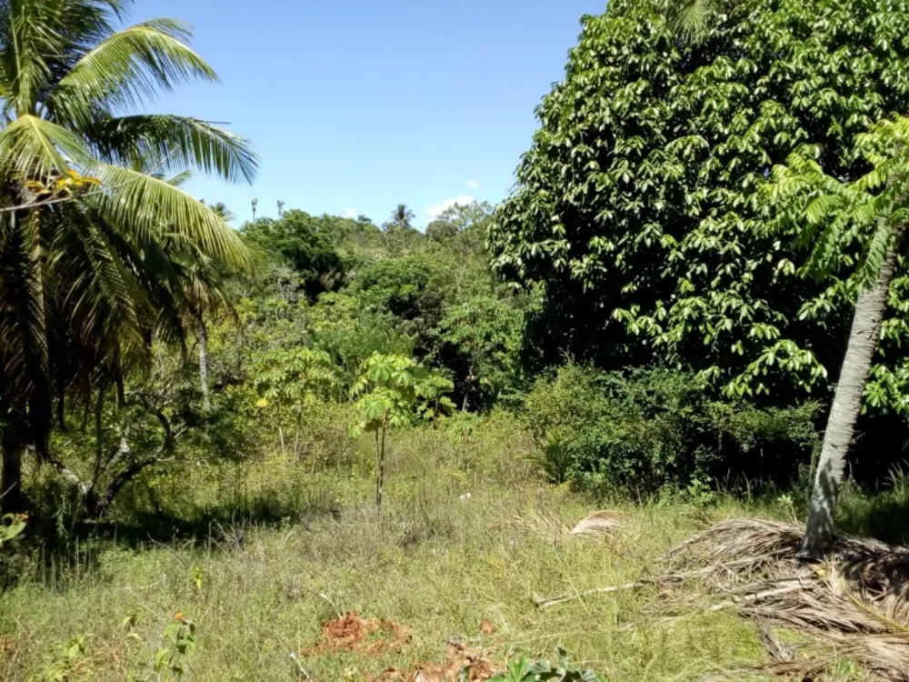 Terreno, 1 hectares - Foto 3