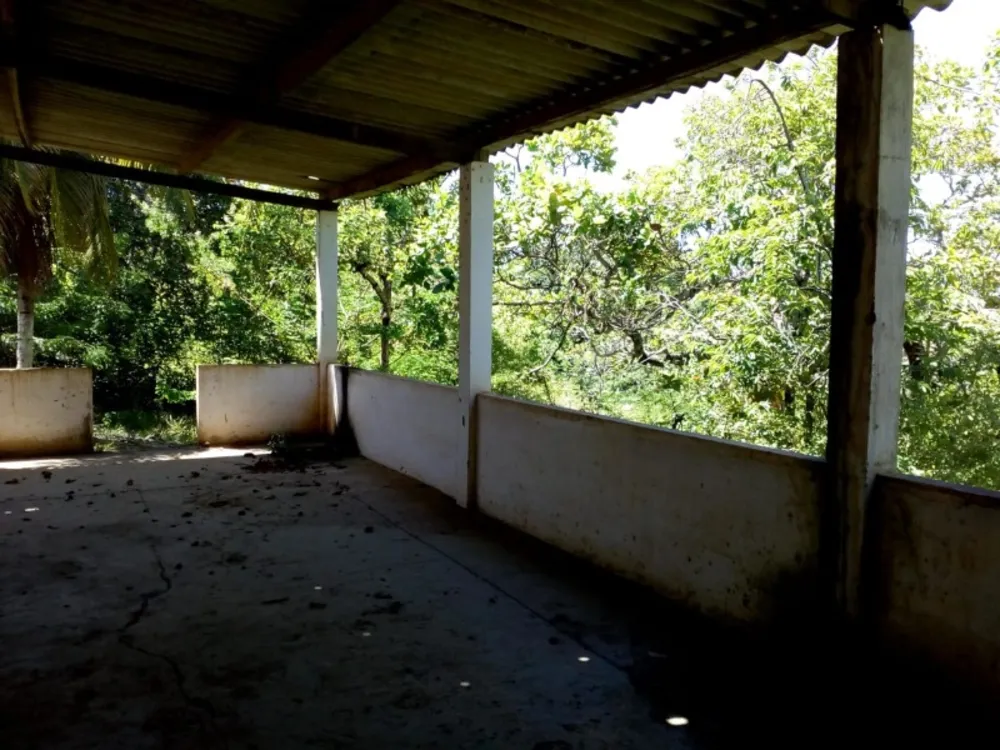 Terreno, 1 hectares - Foto 10