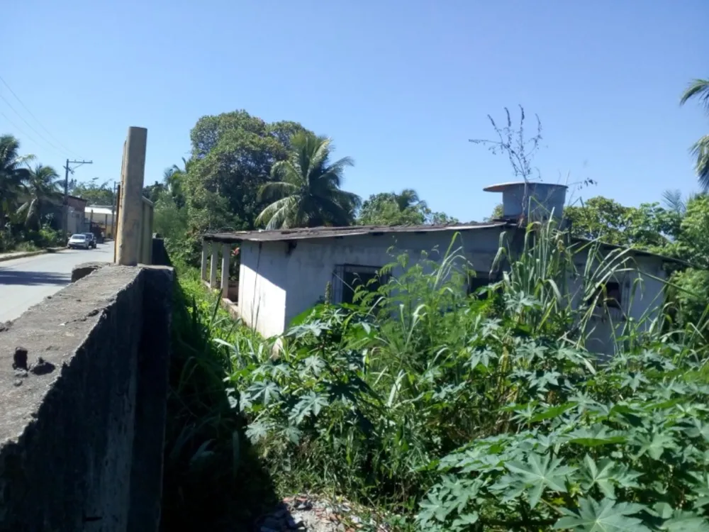 Terreno, 1 hectares - Foto 6