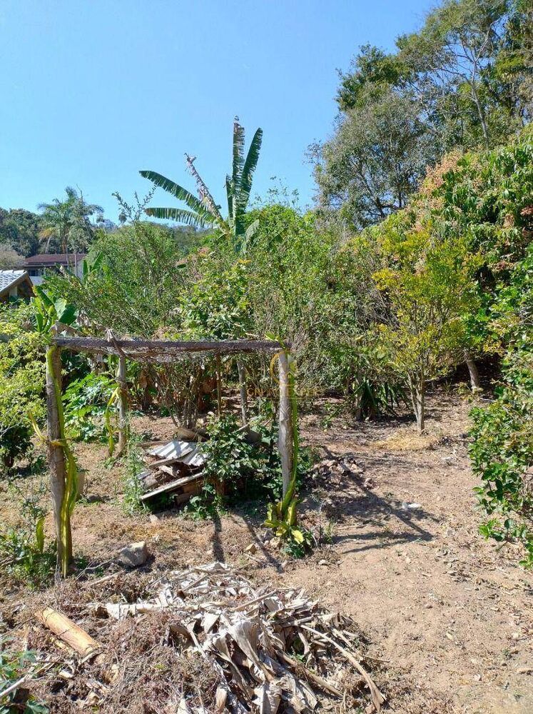 Chácara à venda com 3 quartos, 80m² - Foto 4
