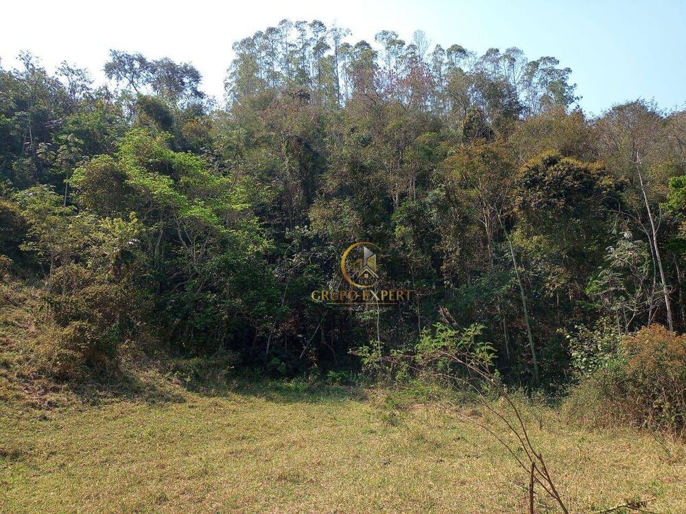 Fazenda, 339 hectares - Foto 5