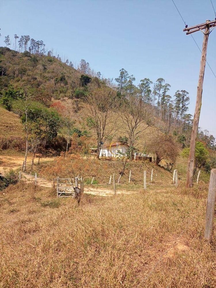 Fazenda, 339 hectares - Foto 7