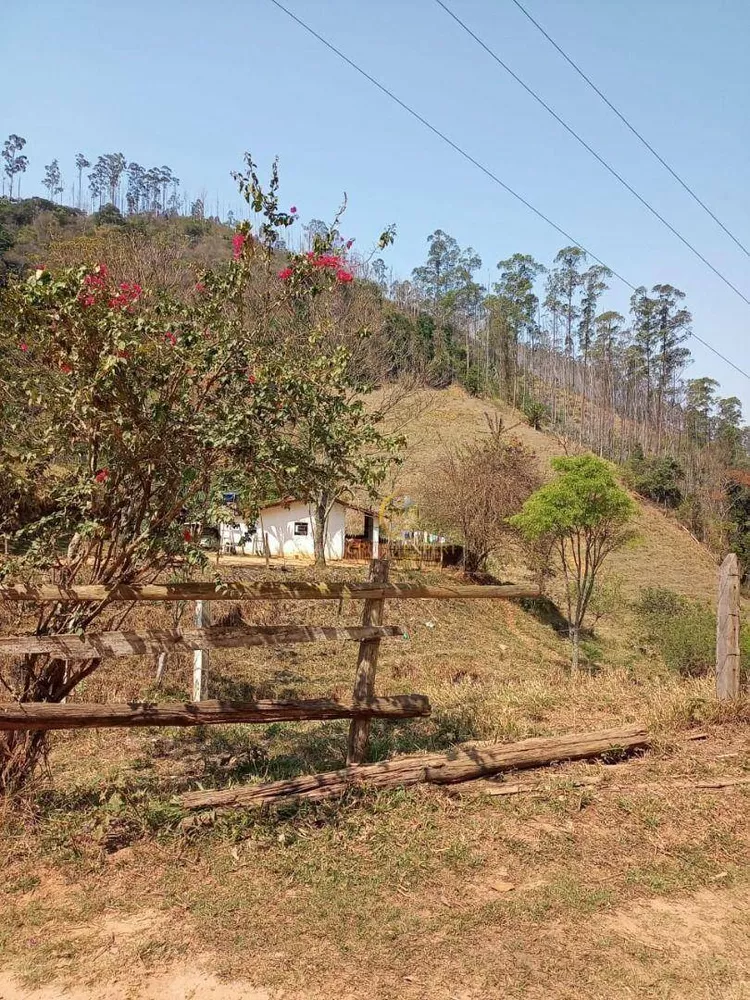 Fazenda à venda com 5 quartos, 3388000M2 - Foto 4