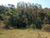 Fazenda, 339 hectares - Foto 5