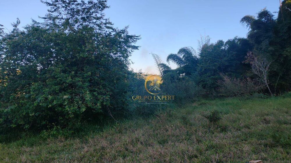 Terreno à venda, 48000M2 - Foto 4