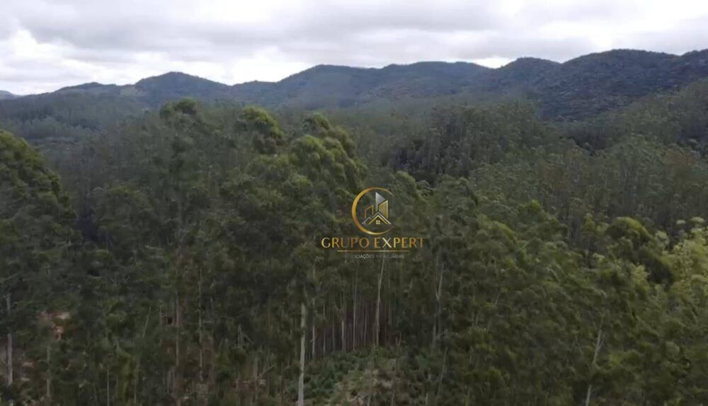 Fazenda à venda com 4 quartos, 170000000M2 - Foto 4