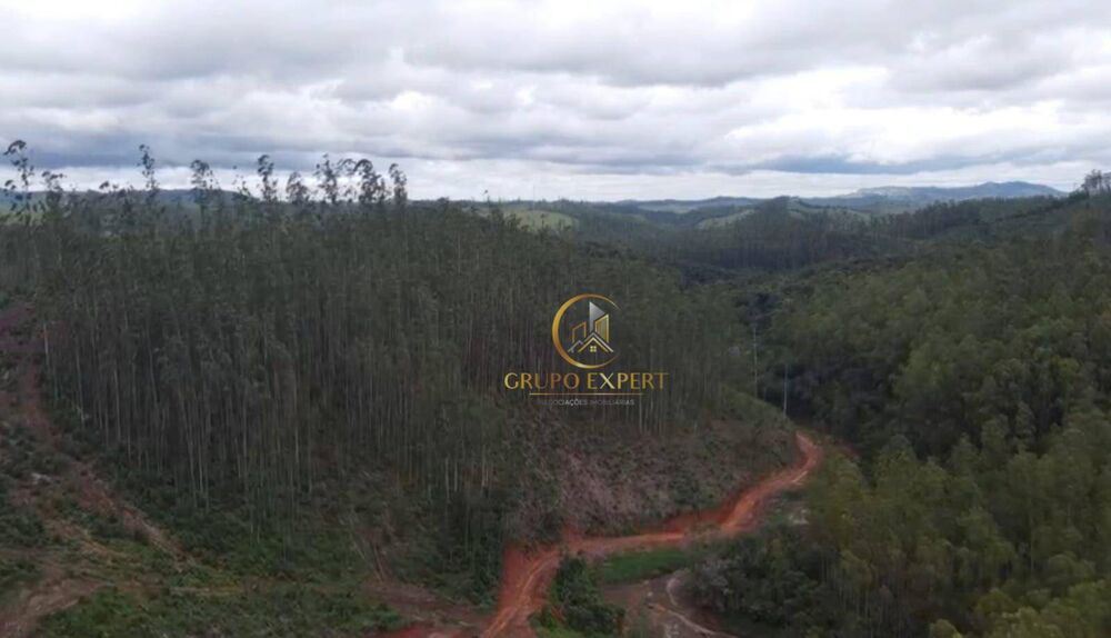Fazenda à venda com 4 quartos, 170000000M2 - Foto 1