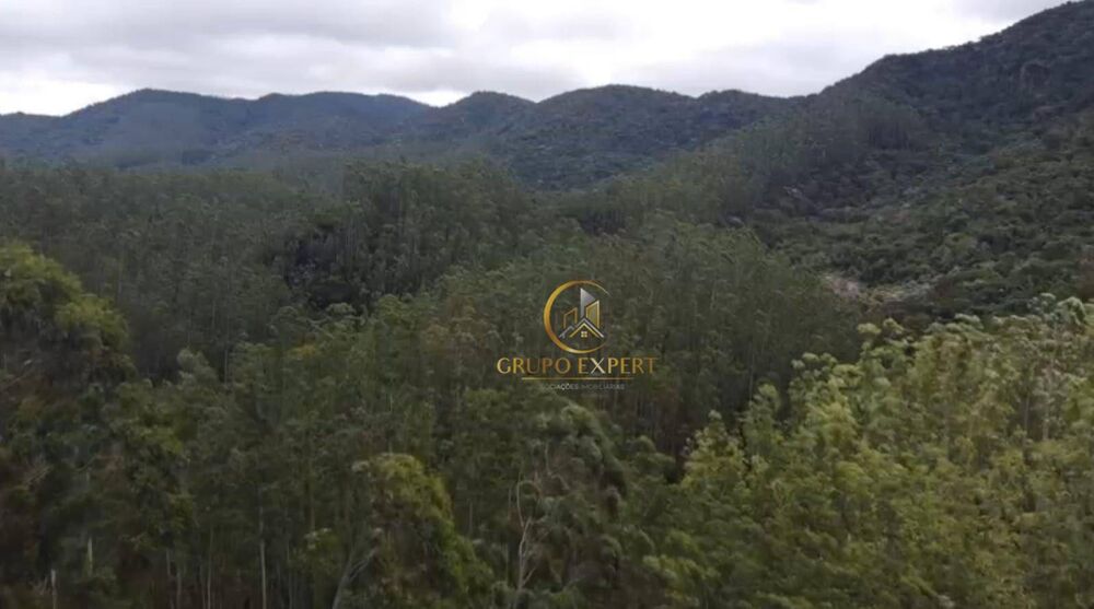 Fazenda à venda com 4 quartos, 170000000M2 - Foto 3