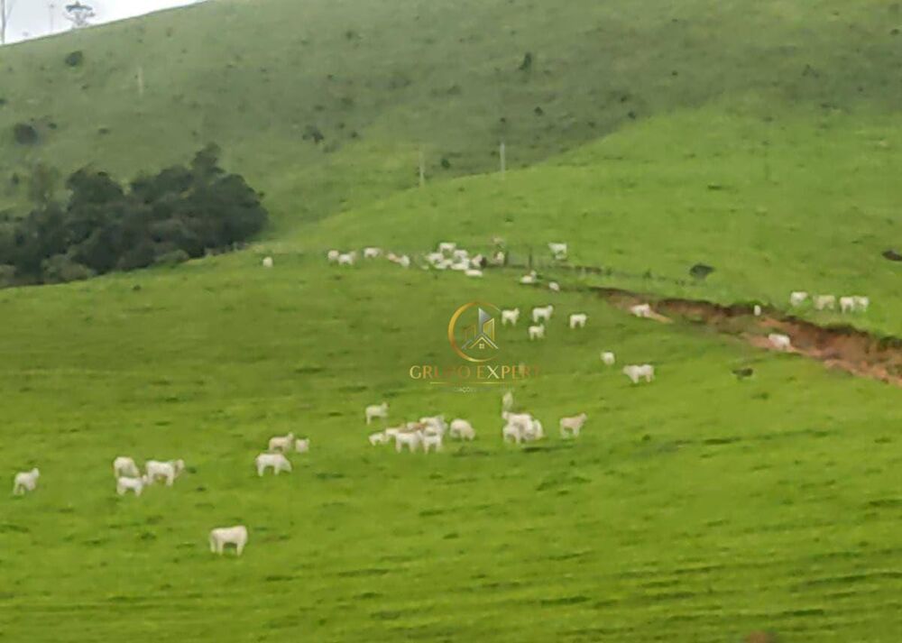 Fazenda à venda, 2420000M2 - Foto 4